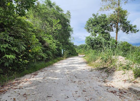 thailand/southern-thailand/attraction/china-clay-mining
