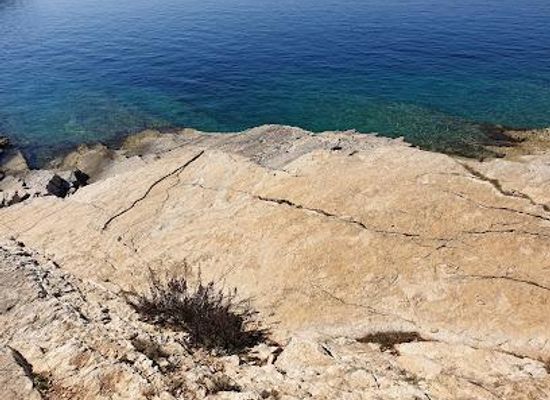 croatia/pula/attraction/staza-dinosaura
