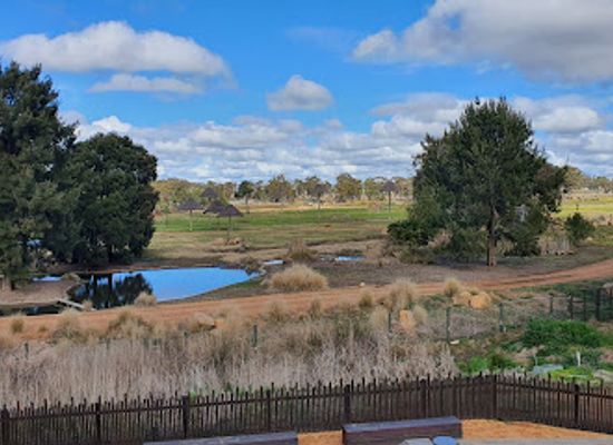australia/south-west/attraction/taronga-western-plains-zoo