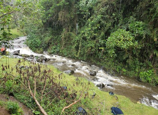 ecuador/sucumbios-region/attraction/pacha-quindi-nature-refuge