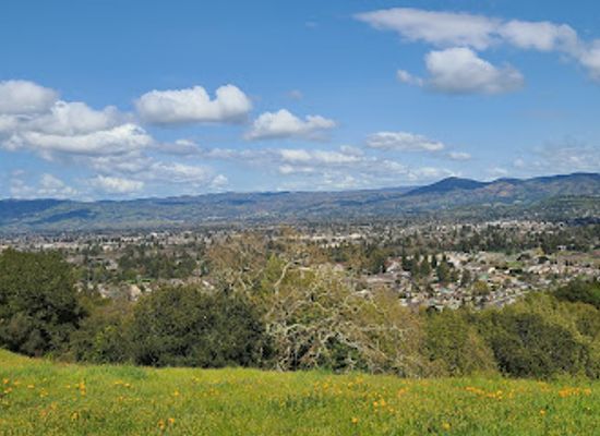 california/napa/attraction/westwood-hills-park