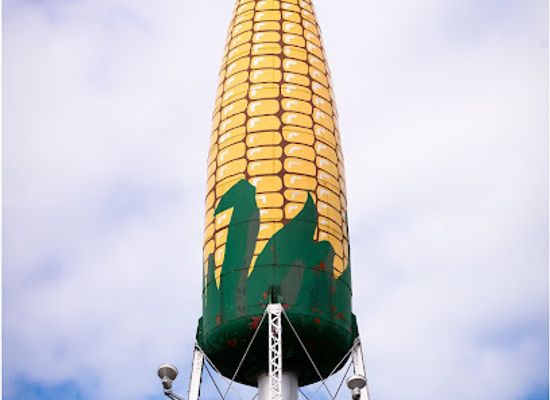 minnesota/rochester/attraction/ear-of-corn-water-tower