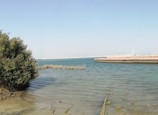 bahrain/muharraq/attraction/dolphin-resort-bahrain