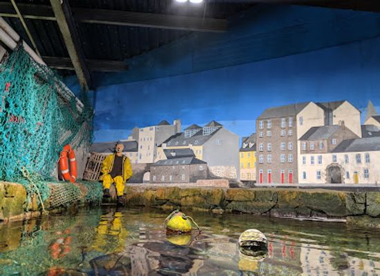 ireland/salthill/attraction/galway-atlantaquaria