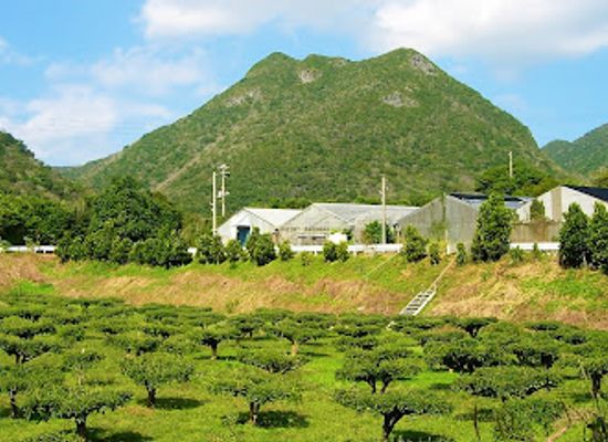 japan/awa/attraction/mt-awa