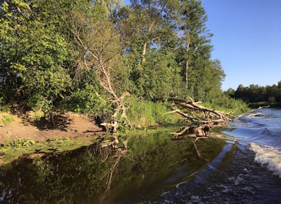 estonia/tartumaa/attraction/alam-pedja-reserve