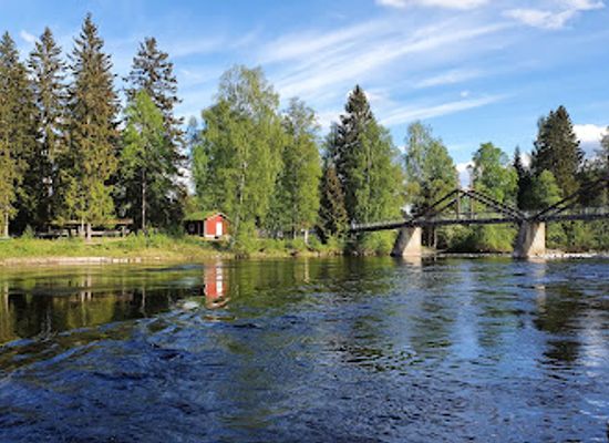 norway/hedmark/attraction/norwegian-forestry-museum