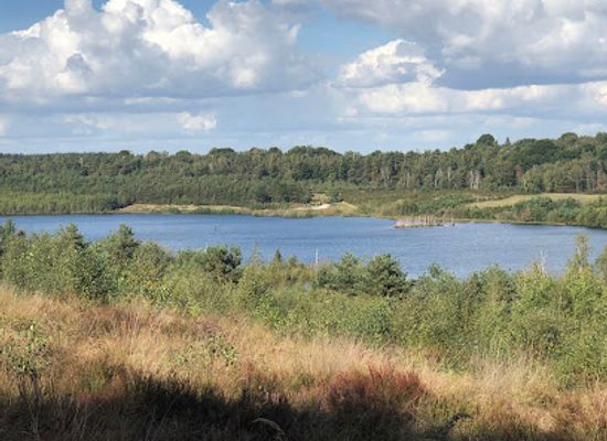 belgium/hoge-kempen-national-park/attraction/vallei-van-de-kikbeekbron