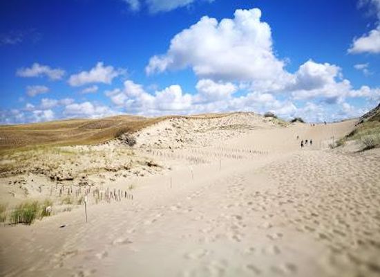 lithuania/klaipeda-region/attraction/nagliai-nature-reserve