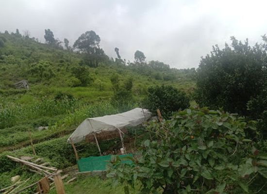 nepal/poon-hill/attraction/thotneri