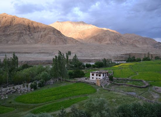 india/ladakh/attraction/karu-city-leh-ladakh