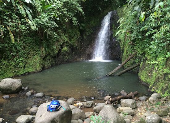 grenada/bbc-beach/attraction/seven-sisters-waterfalls