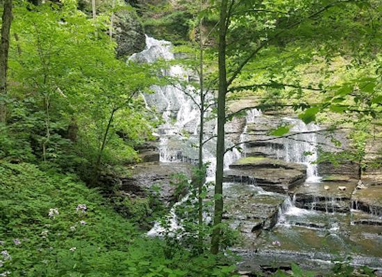 new-york/leatherstocking-region/attraction/leatherstocking-falls