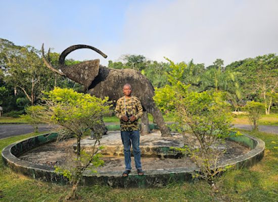 nigeria/ibibio/attraction/cross-river-national-park-oban-sector