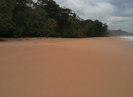 panama/pacific-coast/attraction/playa-bluff
