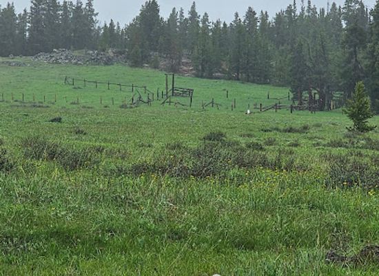 wyoming/bighorn-national-forest/attraction/big-horn-national-forest-visitor-s-center