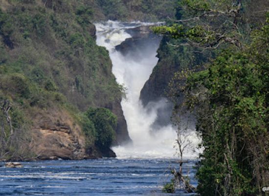 uganda/gulu/attraction/murchison-falls-national-park