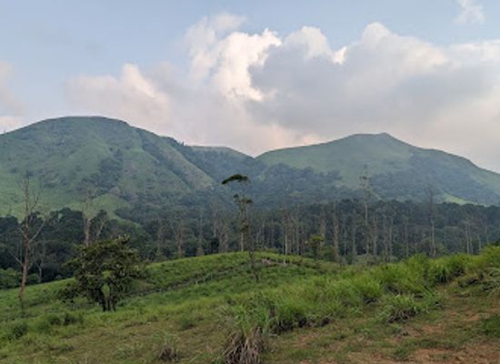 india/kerala/attraction/abraham-s-spice-garden