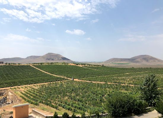 armenia/aragatsotn/attraction/armas-winery