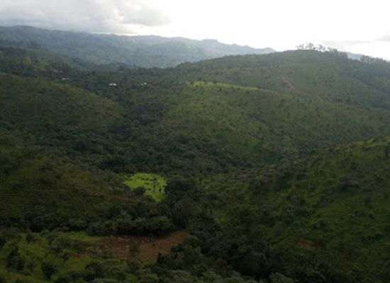cameroon/bamenda/attraction/espace-vert-d-amendoc
