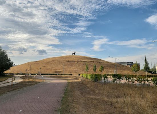 netherlands/gelderland/attraction/het-rijnhert