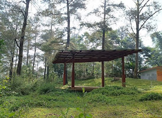 indonesia/sulawesi/attraction/malino-pine-forest