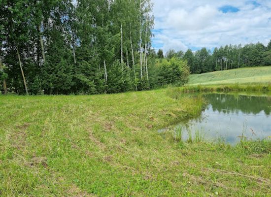 lithuania/anyksciai-treetop-walking-path/attraction/panorama