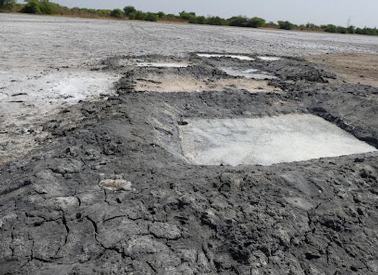 senegal/sine-saloum-delta/attraction/laguna
