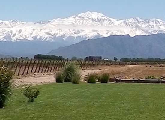 argentina/cuyo/attraction/bodega-ruca-malen