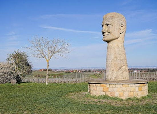 germany/palatinate/attraction/freinsheimer-oschelskopf
