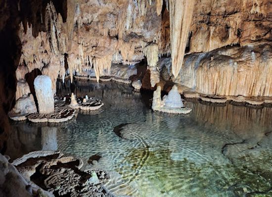 missouri/southeast-missouri/attraction/onondaga-cave-state-park