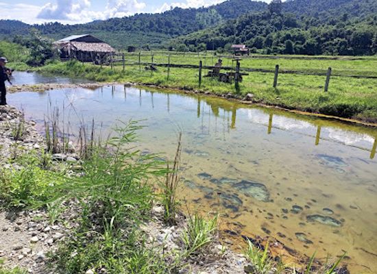laos/bokeo-province/attraction/bo-nam-haun