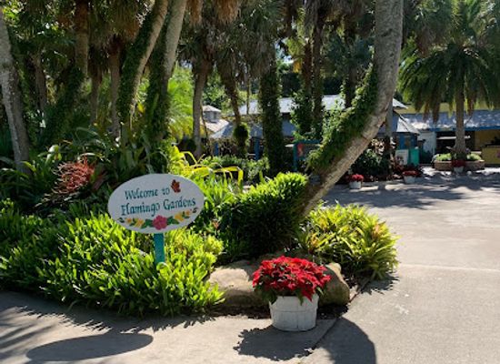 florida/fort-lauderdale-beach/attraction/flamingo-gardens