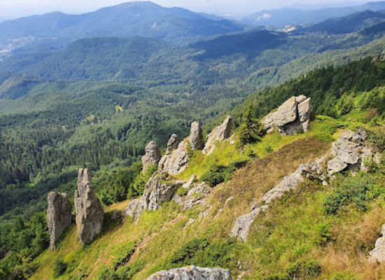 romania/maramures/attraction/gutaiul-mare-summit