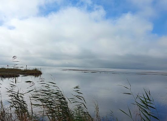 estonia/parnu/attraction/may-bird-watching-tower