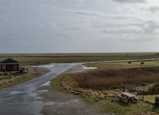 denmark/the-north-sea-islands/attraction/juvre-sand