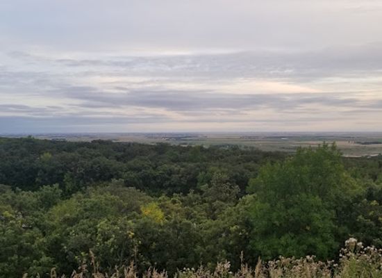 north-dakota/turtle-mountains/attraction/mystical-horizons