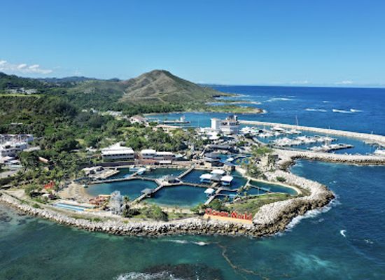 dominican-republic/cibao-valley/attraction/ocean-world-adventure-park-puerto-plata-dominican-republic