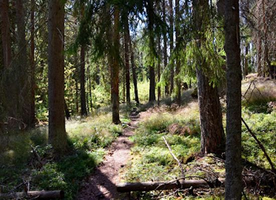 sweden/uppland/attraction/vallensjo