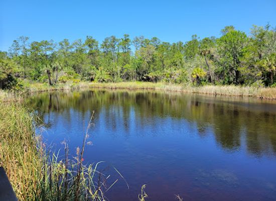 florida/suwannee-river/attraction/lower-suwannee-national-wildlife-refuge