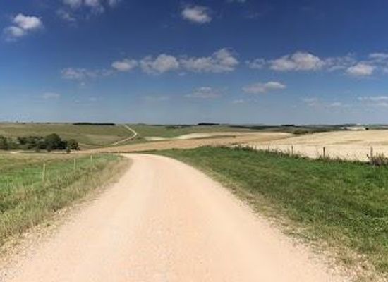 united-kingdom/wiltshire/attraction/salisbury-plain-safaris