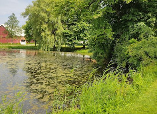 denmark/falster/attraction/corselitze