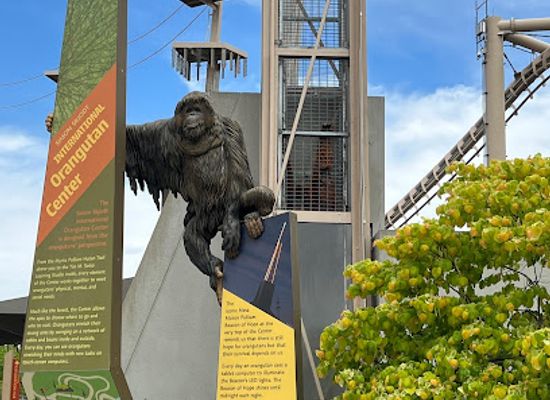 indiana/east-central-indiana/attraction/simon-skjodt-international-orangutan-center