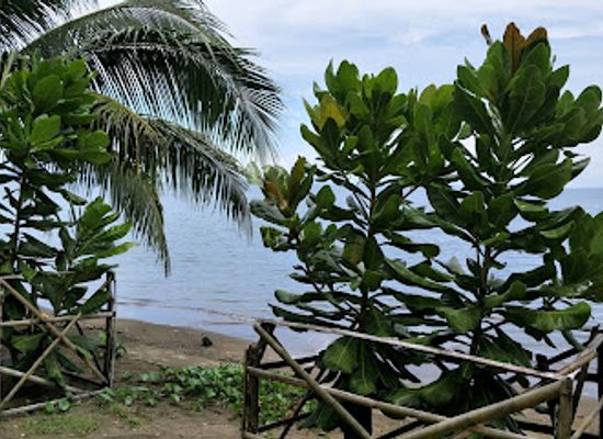 philippines/bicol-region/attraction/donsol-whaleshark-tour-information