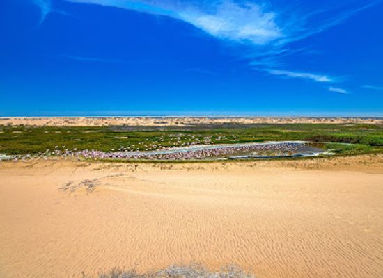 namibia/damaraland/attraction/sandwich-harbour
