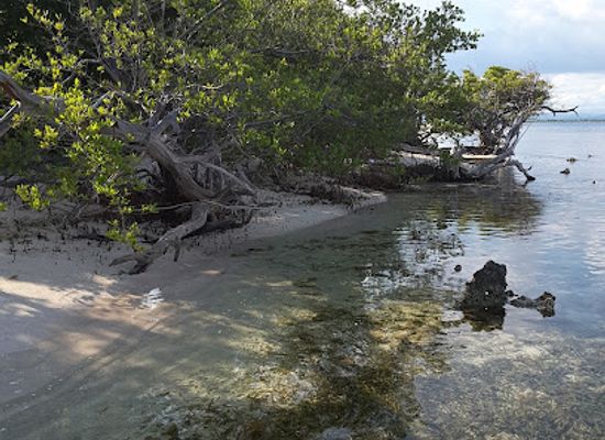 jamaica/east-end/attraction/lime-cay