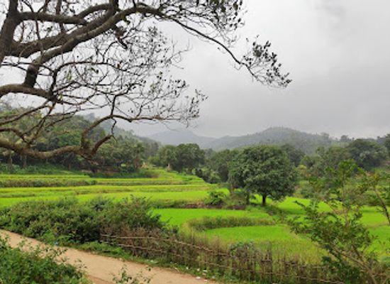 india/east-india/attraction/ananthagiri-water-falls