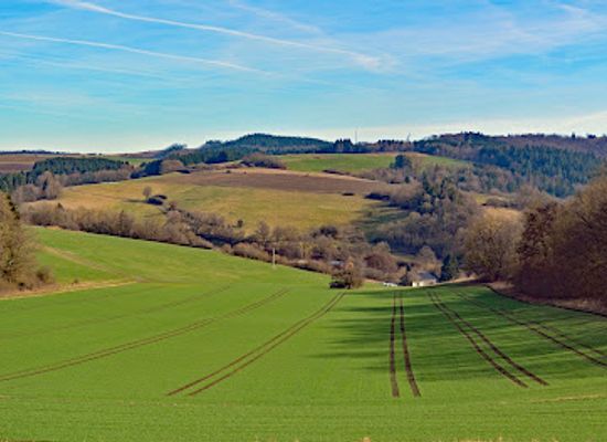 germany/eifel/attraction/vulkanrundweg-rockeskyller-kopf