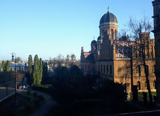 ukraine/chernivtsi/attraction/bukovynian-diaspora-museum