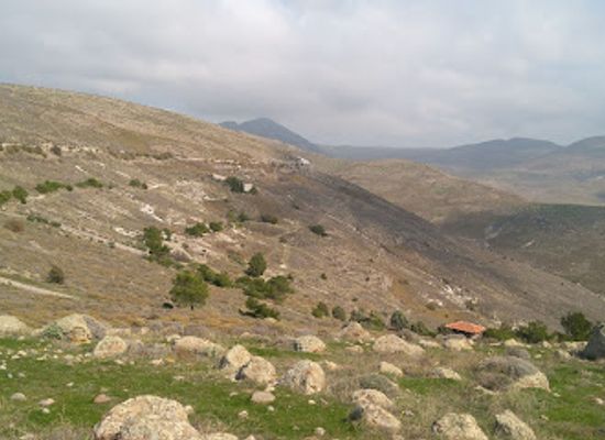 greece/north-aegean/attraction/petrified-forest-of-lesvos